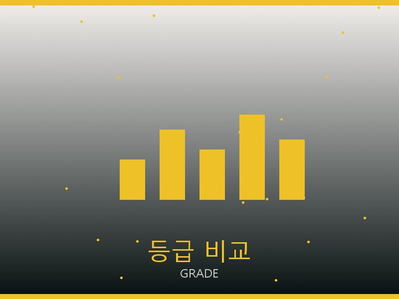바쉐론 레플리카 사이트 등급 기준 비교
